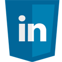 linkedin icon
