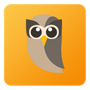 Hootsuite icon