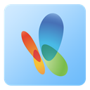 Msn icon