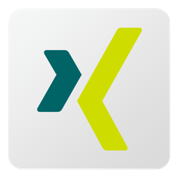 Xing icon 512x512px (ico, png, icns) - free download | Icons101.com