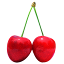 cherry icon