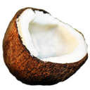 coconut icon
