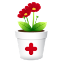 plant_no_shadwo icon