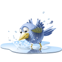 poolbird icon