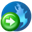 gowebsite icon
