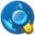 websearch icon