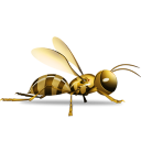 Wasp icon