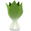 bok-choy icon