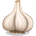 garlic icon