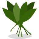 greens icon