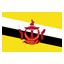 Brunei icon