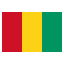 Guinea icon