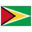 Guyana icon