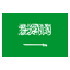 Saudi-Arabia icon