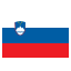 Slovenia icon