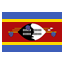 Swaziland icon