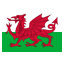 Wales icon