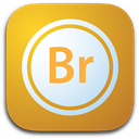 Brigde icon