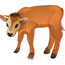calf icon