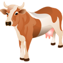 cow icon
