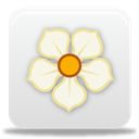 Magnolia icon