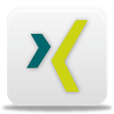 xing icon