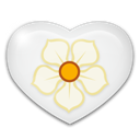 Magnolia icon