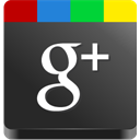 Google+ icon