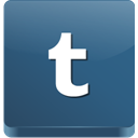 Tumblr icon