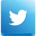 Twitter icon