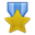 _0041_Medal-Gold icon