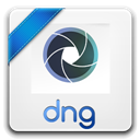 dng icon