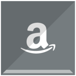 Amazon-Icon icon 256x256px (ico, png, icns) - free download | Icons101.com