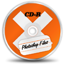 CD-R icon