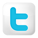 social_twitter_box_white icon