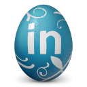 linkedin icon