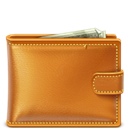 wallet icon