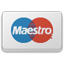 PEPSized_Maestro icon