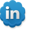 LinkedIn icon