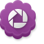 Picasa icon