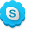 Skype icon