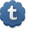Tumblr icon