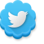 Twitter icon