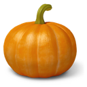 Pumpkin icon