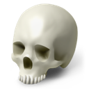 Scull icon