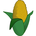 corn icon