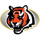 Bengals icon