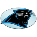 Panthers icon
