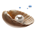 pearl icon