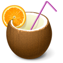 cocktail icon